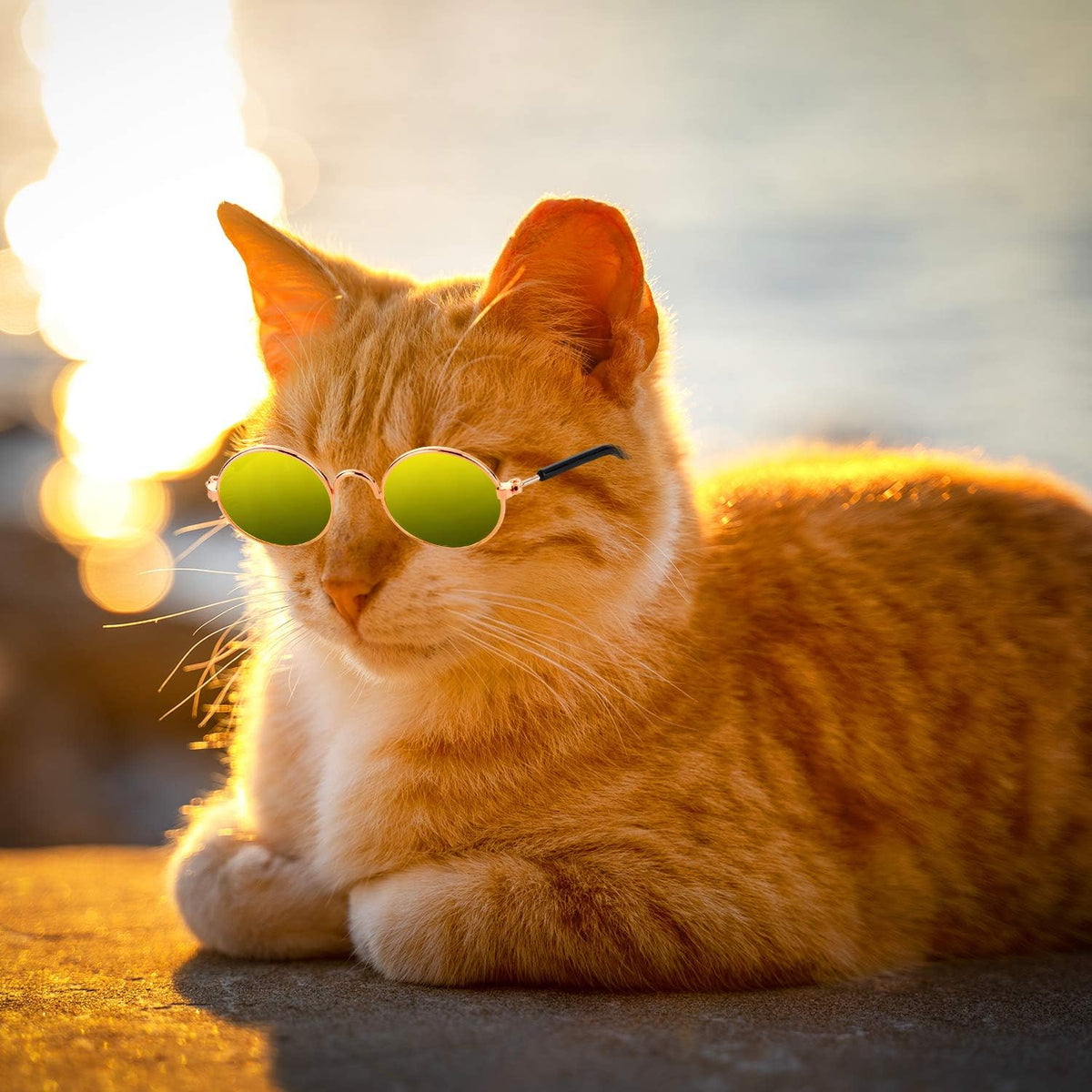 10-Piece Cat & Dog Sunglasses