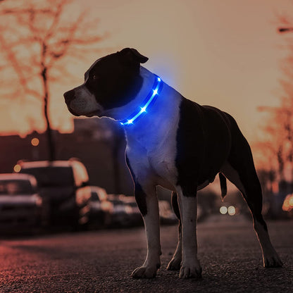 Rechargeable LED Dog Collar