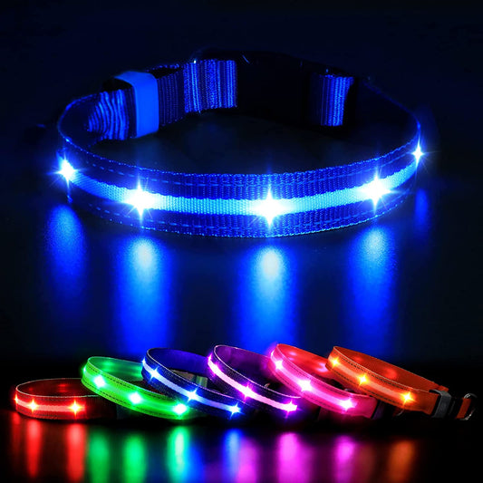 Rechargeable LED Dog Collar