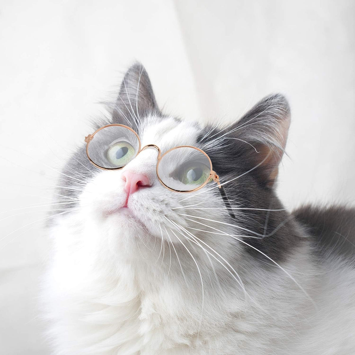 10-Piece Cat & Dog Sunglasses