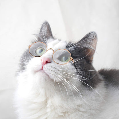 10-Piece Cat & Dog Sunglasses