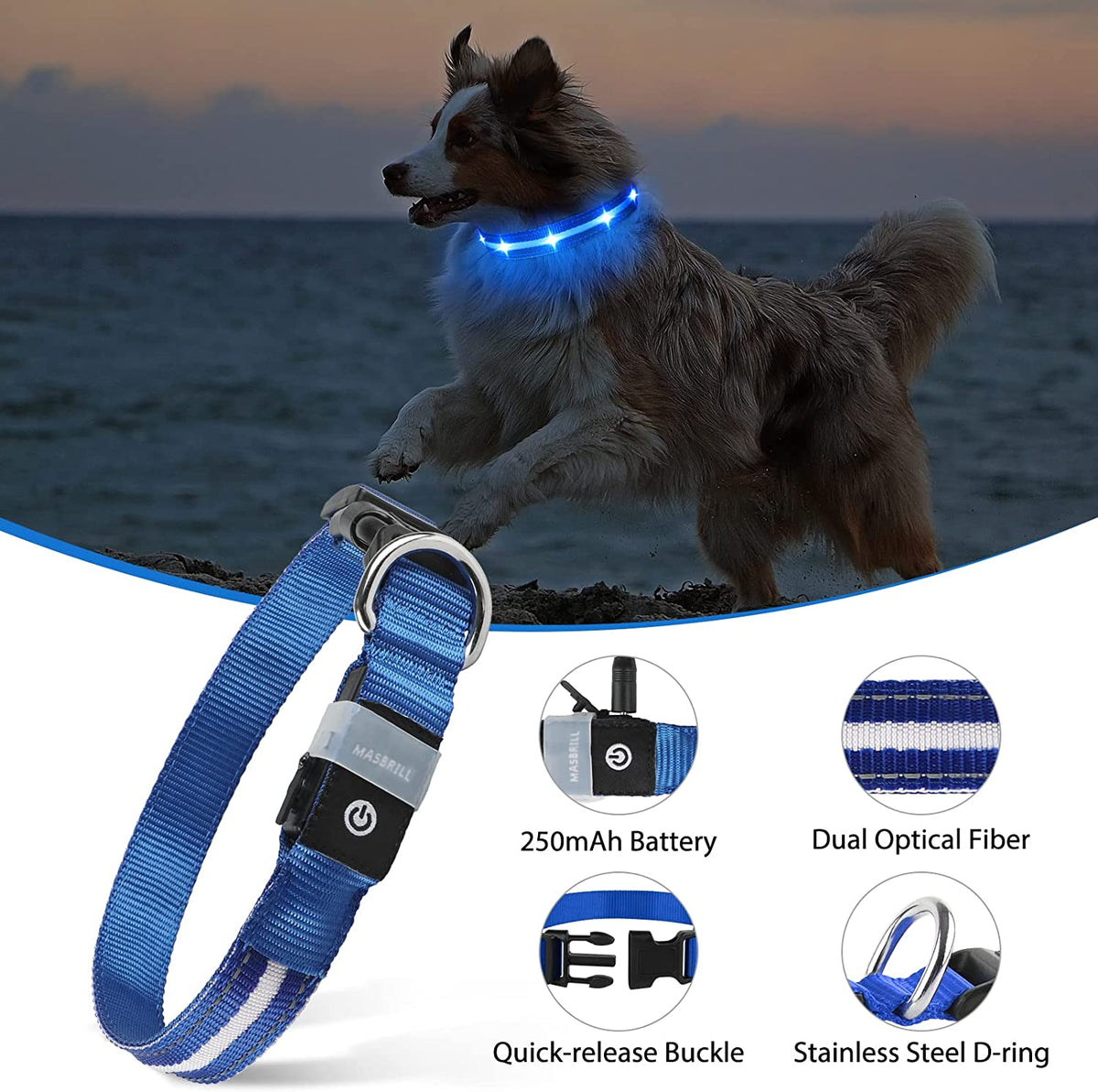 Rechargeable LED Dog Collar