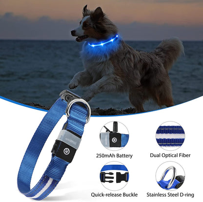 Rechargeable LED Dog Collar