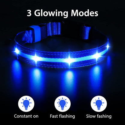 Rechargeable LED Dog Collar