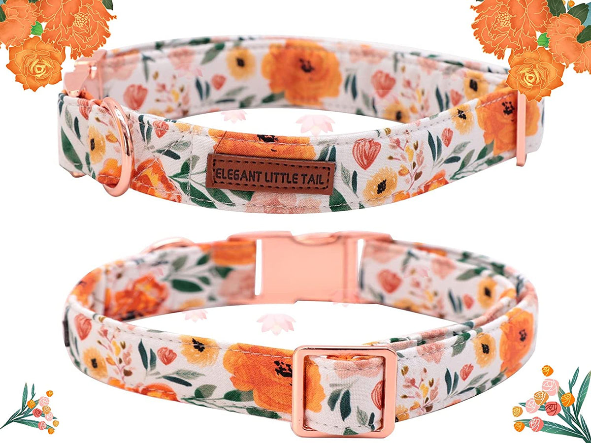 Floral Bow Dog Collar