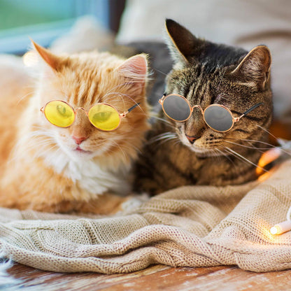 10-Piece Cat & Dog Sunglasses