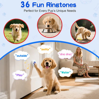 Dog Potty Training Doorbell Kit