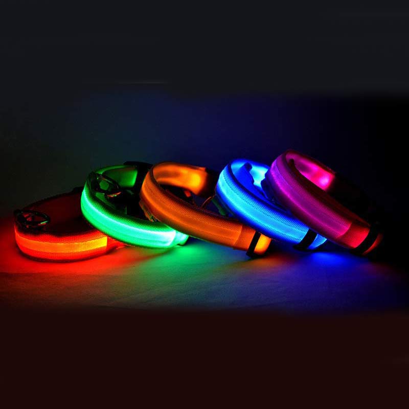 Rechargeable LED Dog Collar