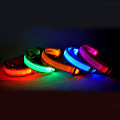 Rechargeable LED Dog Collar