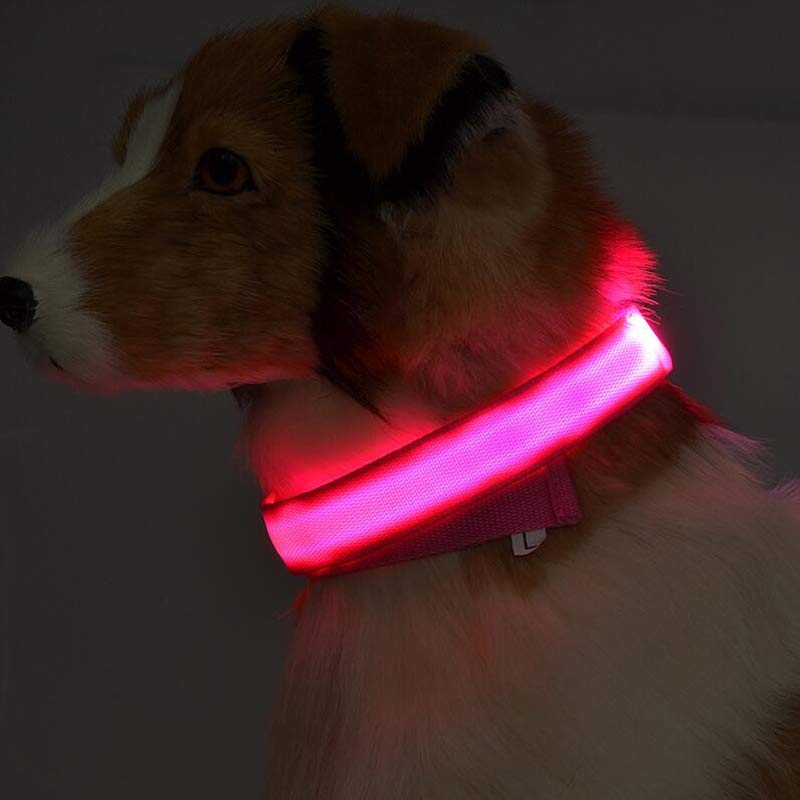 Rechargeable LED Dog Collar