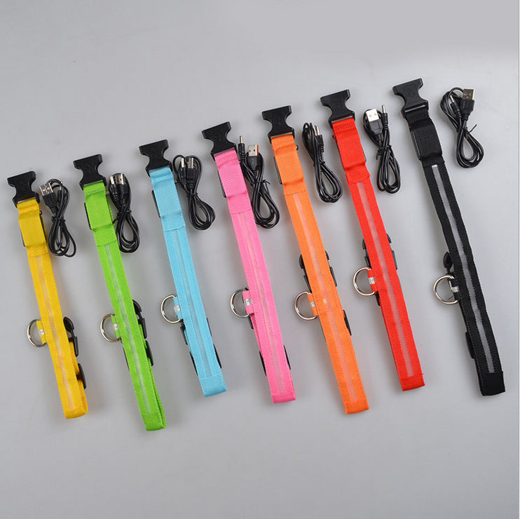 Rechargeable LED Dog Collar