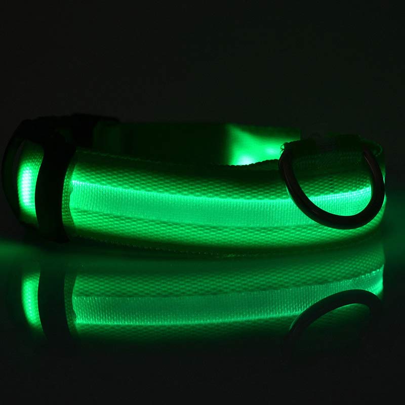 Rechargeable LED Dog Collar