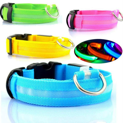 Rechargeable LED Dog Collar
