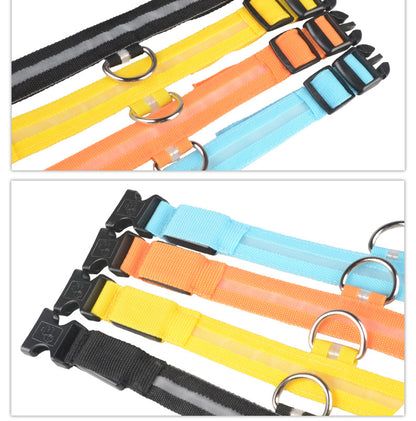 Rechargeable LED Dog Collar
